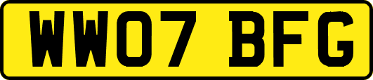 WW07BFG