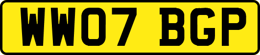 WW07BGP
