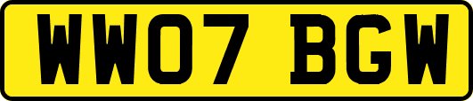 WW07BGW
