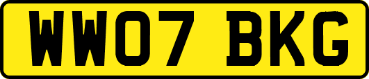 WW07BKG