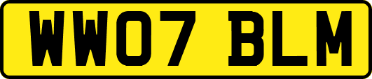 WW07BLM