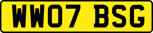 WW07BSG