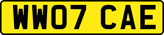 WW07CAE