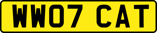 WW07CAT