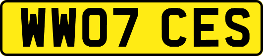 WW07CES