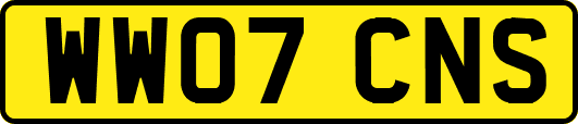 WW07CNS