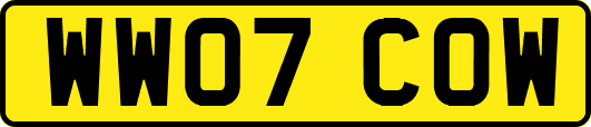 WW07COW