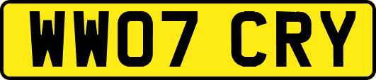 WW07CRY