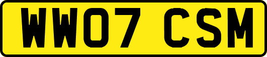 WW07CSM