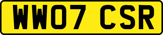 WW07CSR