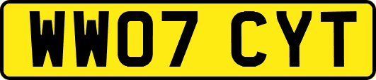 WW07CYT