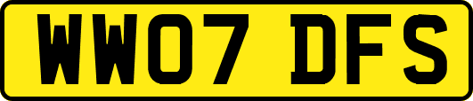 WW07DFS