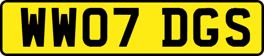 WW07DGS