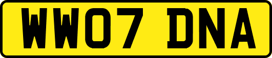 WW07DNA