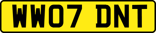 WW07DNT
