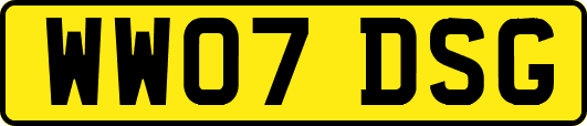 WW07DSG