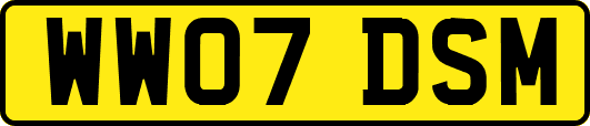 WW07DSM