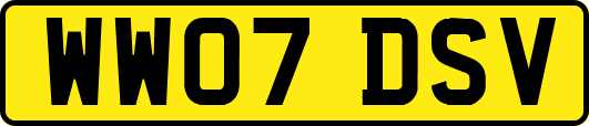 WW07DSV
