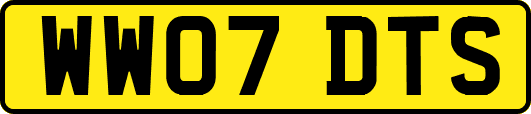 WW07DTS