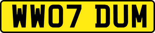 WW07DUM