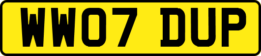 WW07DUP