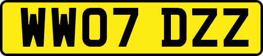 WW07DZZ