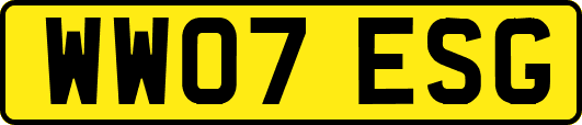 WW07ESG