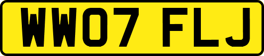 WW07FLJ