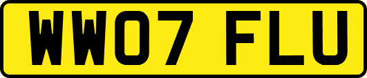 WW07FLU
