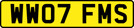 WW07FMS