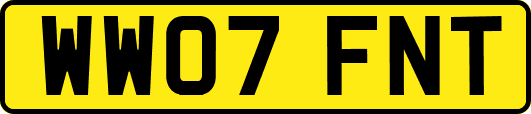 WW07FNT
