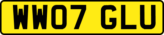 WW07GLU