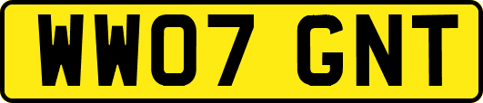 WW07GNT