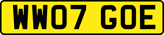 WW07GOE