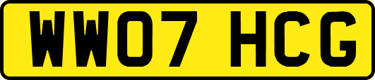 WW07HCG