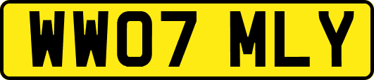 WW07MLY