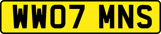 WW07MNS
