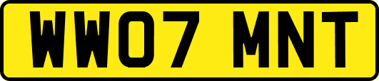 WW07MNT