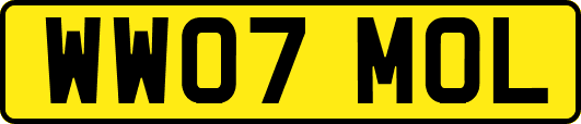 WW07MOL