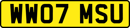 WW07MSU