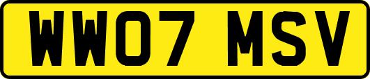 WW07MSV