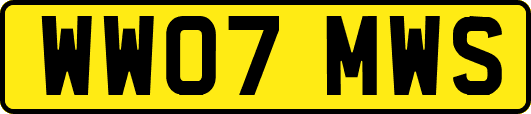 WW07MWS