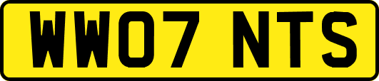 WW07NTS
