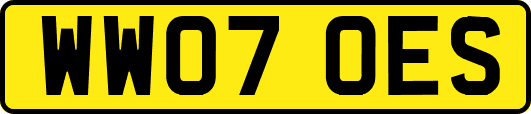 WW07OES