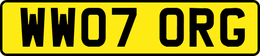 WW07ORG