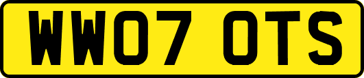 WW07OTS