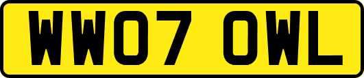 WW07OWL