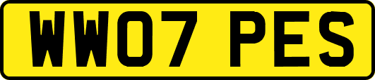 WW07PES