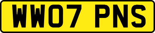 WW07PNS
