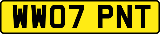 WW07PNT